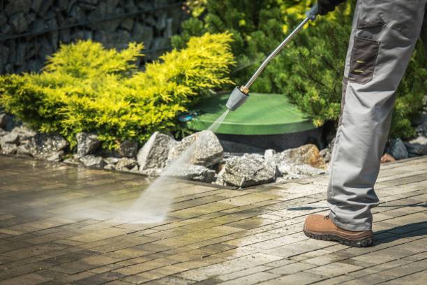 Best Sidewalk and Walkway Cleaning  in Lamar, TX