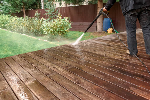 Best Soft Washing  in Lamar, TX