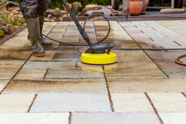 Best Gutter Cleaning  in Lamar, TX